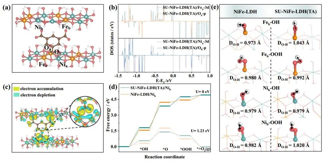 Nature子刊：三聚酸修飾的亞尺寸鎳鐵-層狀雙氫氧化物納米片催化劑增強水氧化