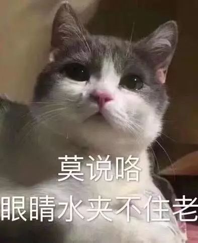 博士補助提額！讀博一年收入最高10萬?丨別人家的學(xué)校系列