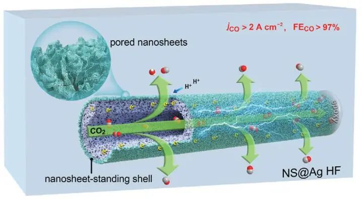 【計算+實驗】8篇頂刊速遞：Nature子刊、JACS、AEM、AFM、ACS Catalysis等！