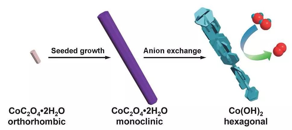 陜西師范大學張偉＆曹睿：新穎Co(OH)2多級結構材料用于電催化水氧化反應