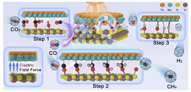 ?中山大學NML：Mo-S橋接位點提高量子效率，實現高效光催化CO2還原