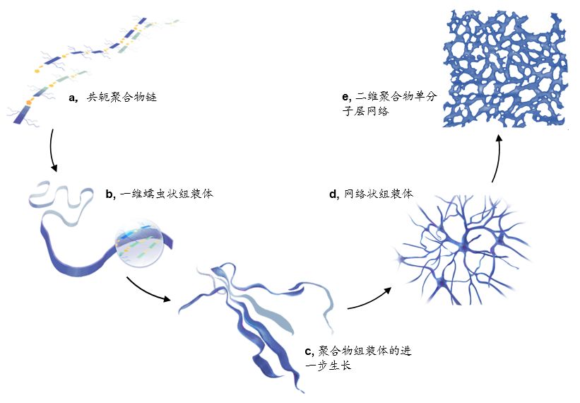 北大一篇充滿藝術感的AM，裴堅團隊實現聚合物單分子層最高電子遷移率