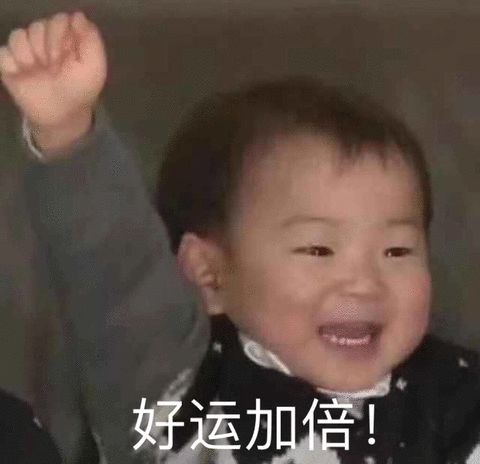 白天寫論文，晚上罵學(xué)校！說跑路就跑路，博士們也很難啊！