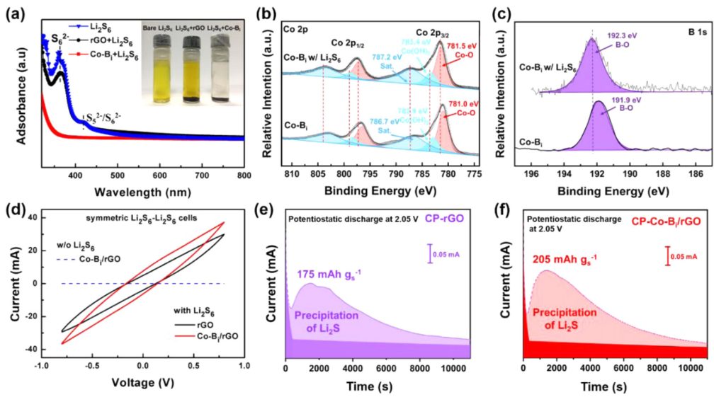 陳忠偉/王新Adv. Sci.：面向極端溫度應用的鋰金屬電池電解質設計