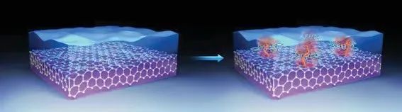 廈大洪文晶/鄭明森/董全峰AEM: 通過與導(dǎo)電分子耦合以擴展界面反應(yīng)的增強型電極