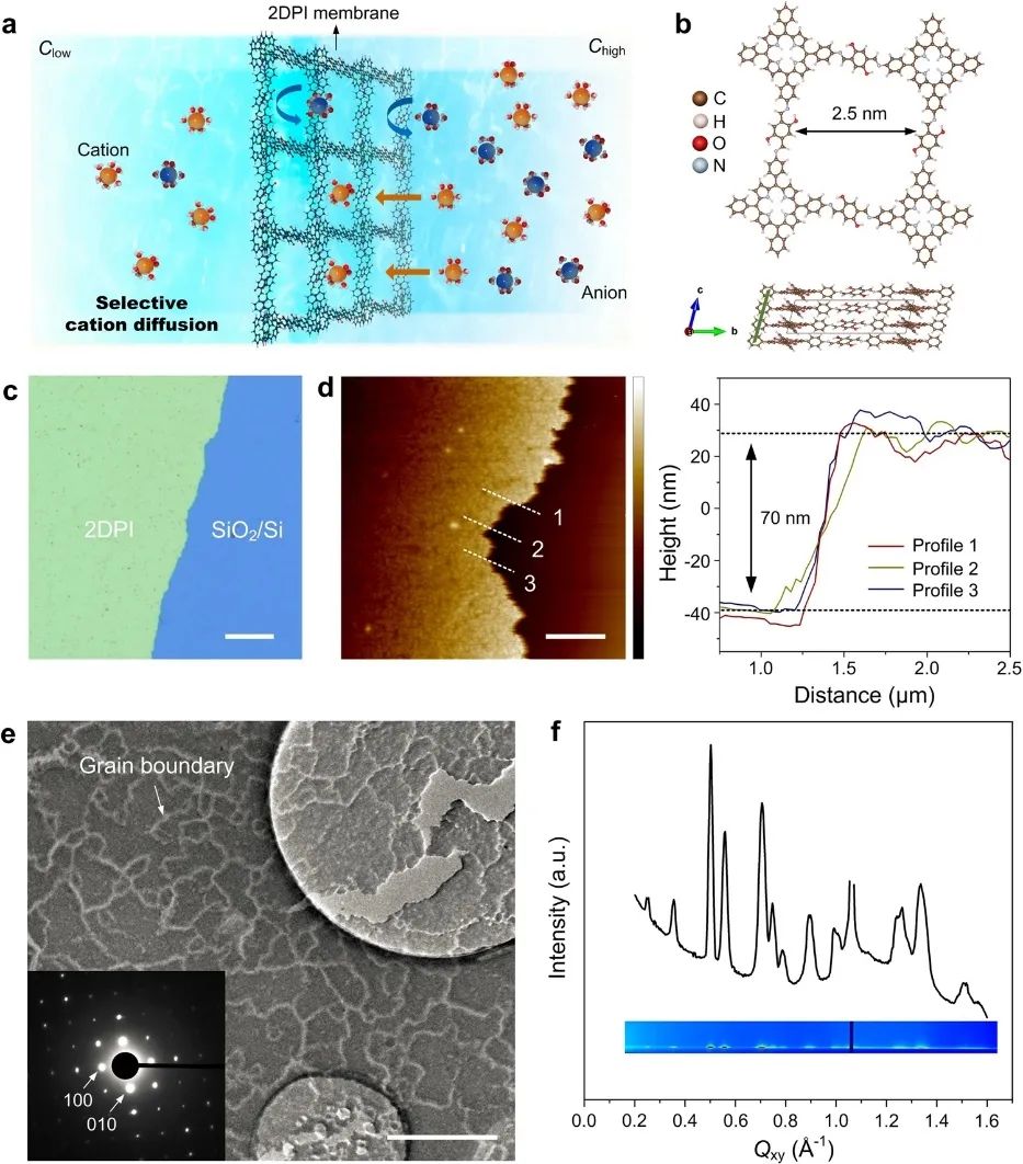 ?馮新亮院士團隊，最新Nature子刊！