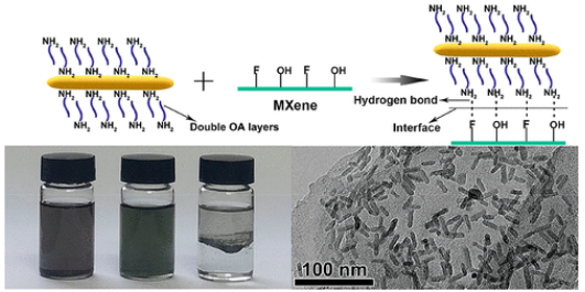 閆俊/王倩ACS Nano：多功能界面自組裝Ti3C2Tx MXene基復合材料實現優異的鋰和鈉存儲