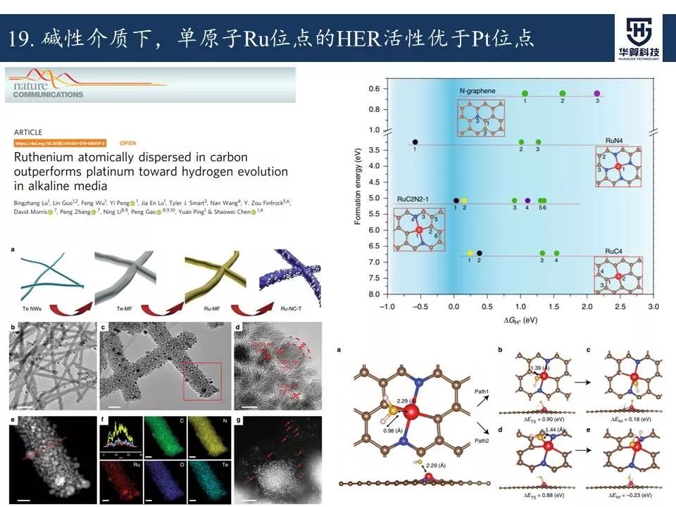 科研這杯酒，誰喝都得醉！2019年電催化領域高被引工作，先干為敬！