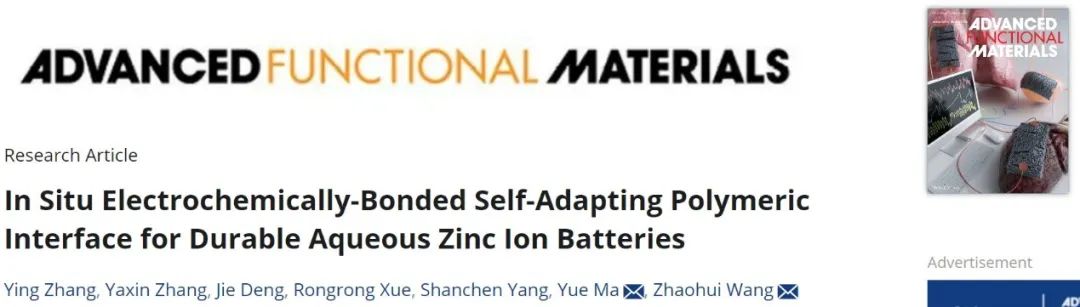 汪朝暉/馬越AFM：原位電化學鍵合自適應聚合物界面助力耐用水系鋅離子電池
