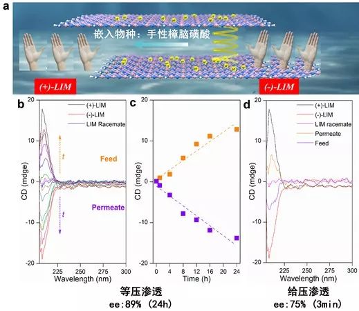 【頂刊】中科大劉波課題組Nature子刊：調控GCN層間距離和層間化學環境，實現二維分離膜高效選擇性滲透