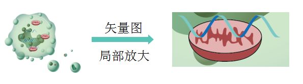 【制圖干貨】給SCI論文配圖時，矢量圖和位圖有什么區別？