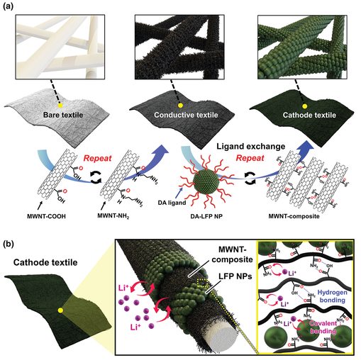 電池日報，8篇頂刊：Adv. Sci.、AEM、Nano Today、AFM、EnSM等成果合集！
