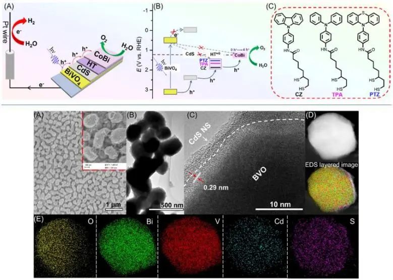 ?復旦胡可ACS Catalysis: 級聯能帶排列實現快速空穴提取，提高PEC水氧化效率