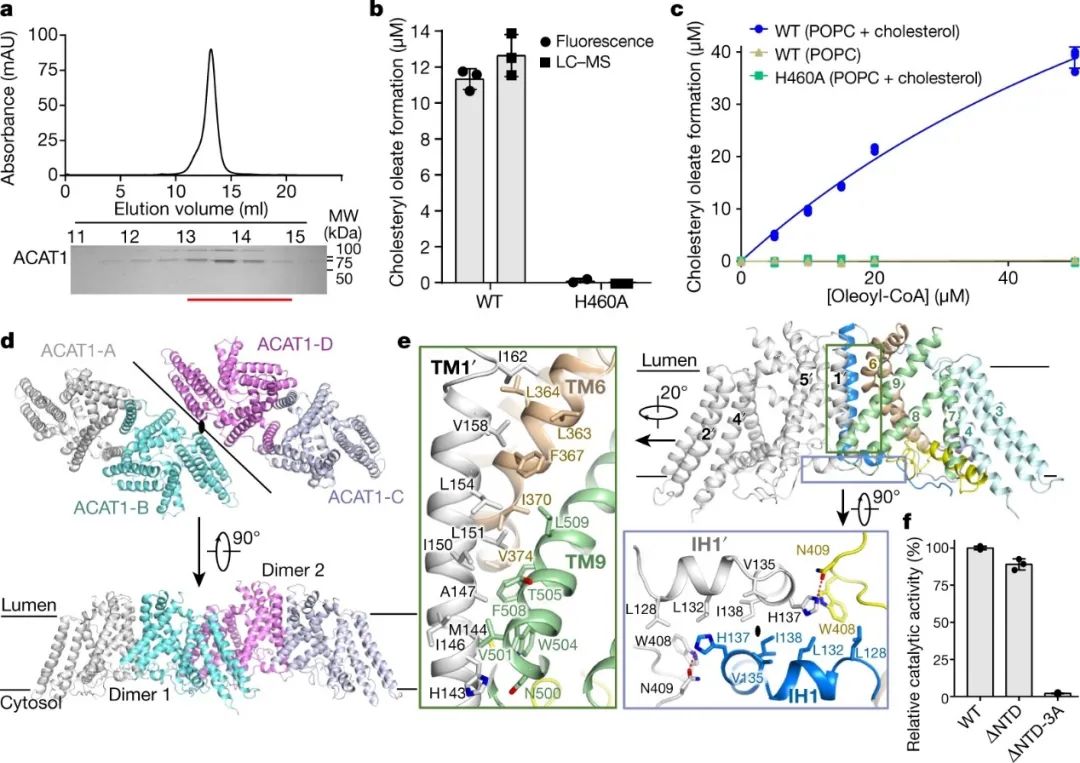 霸氣，繼Science背靠背，顏寧又兩篇Nature背靠背，爭取Cell背靠背……