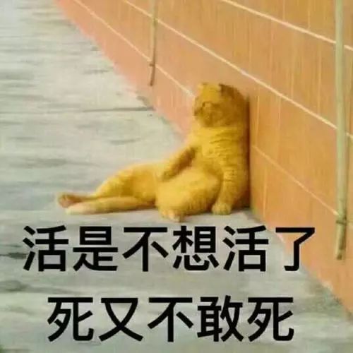 “父母雙學(xué)霸, 生娃是學(xué)渣”的科學(xué)解釋是什么？