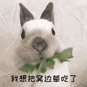 研究生坑導(dǎo)師行為大賞！導(dǎo)師為了讓大弟子畢業(yè)，不得已自寫論文