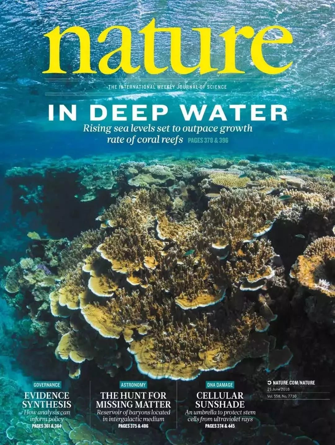 整天關注SCI，那你知道前20名的期刊長啥樣子嗎?