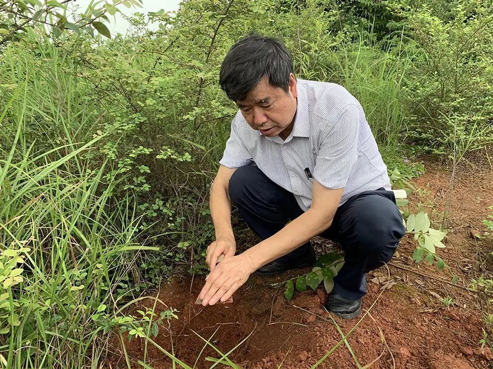 下一輪“雙一流”，11所高校有望升級！