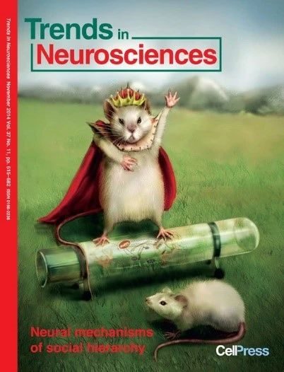 門下5位博士人手一篇Science！浙大教授再度入選院士增選名單