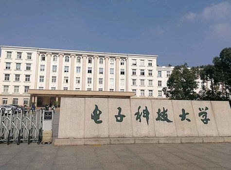 90后女博導、電子科大副院長！曾被Nature主編點贊，放棄百萬英鎊年薪回國任教