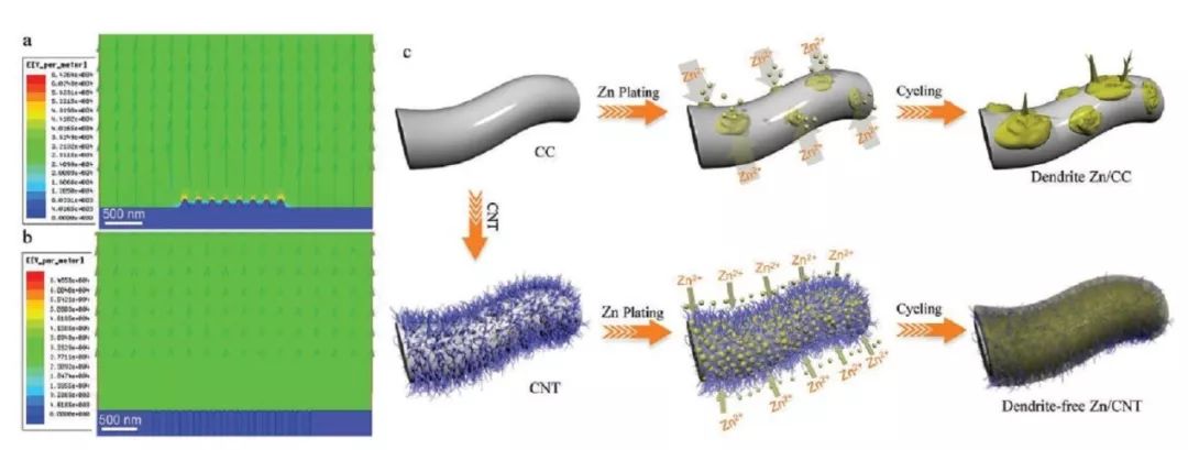 中山大學(xué)AM：多功能柔性3D碳納米管（CNT）作為鋅沉積/溶解骨架實(shí)現(xiàn)無(wú)樹(shù)枝化鋅負(fù)極