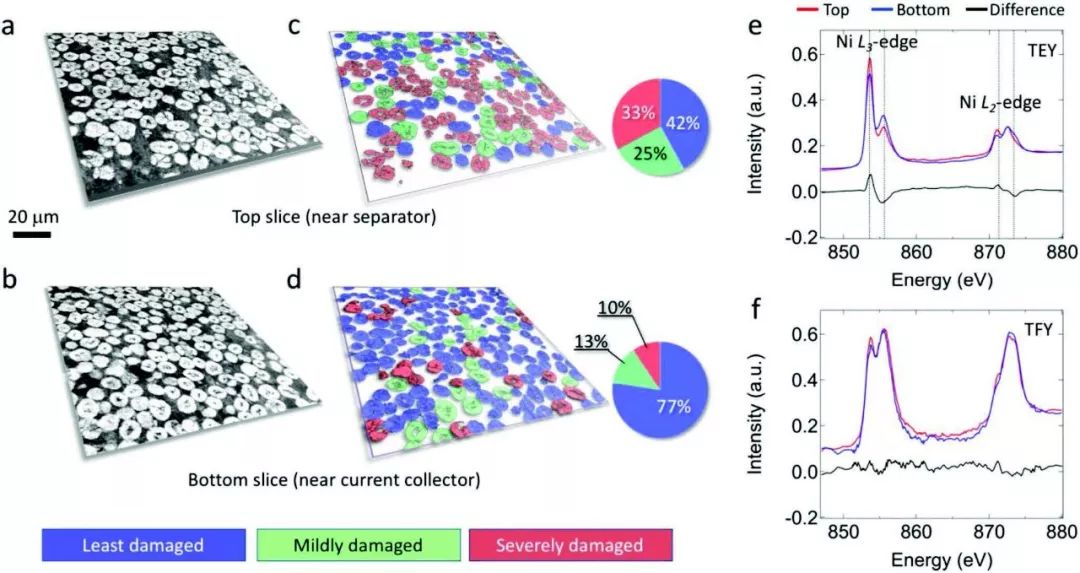 【動態】Advanced Energy Materials 同步輻射多尺度成像定量研究鋰離子電池退化機制