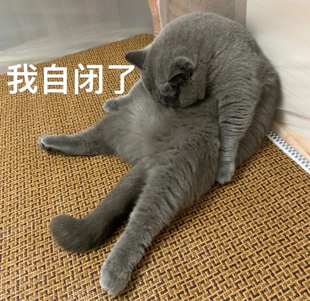男導師的妻子叫“師母”，那么女導師的丈夫該怎么稱呼？
