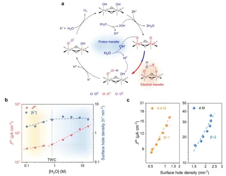 催化頂刊集錦：JACS、Nature子刊、Angew、ACS Catalysis、Adv. Sci.等成果