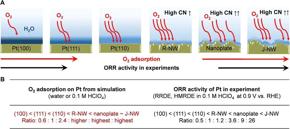 最新催化匯總：3篇Angew.、2篇JACS、2篇Nano Lett.和1篇Science子刊