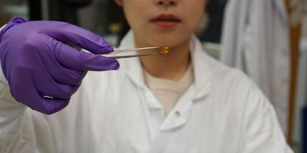 一度被拒稿的論文登上Nature，“光補實驗就補了兩年”水凝膠！實現體內軟骨再生