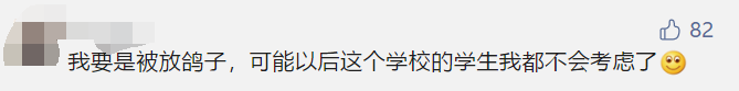 導師與學生間的鴿王爭霸賽，究竟誰“更勝一籌”？