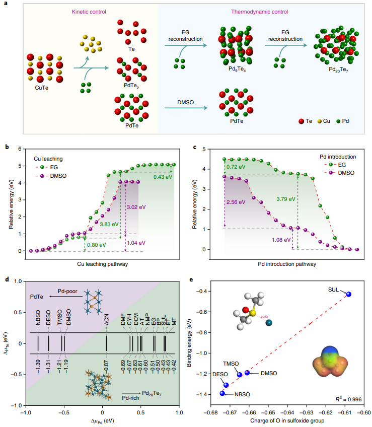 黃小青&徐勇等合作，最新Nature Synthesis！