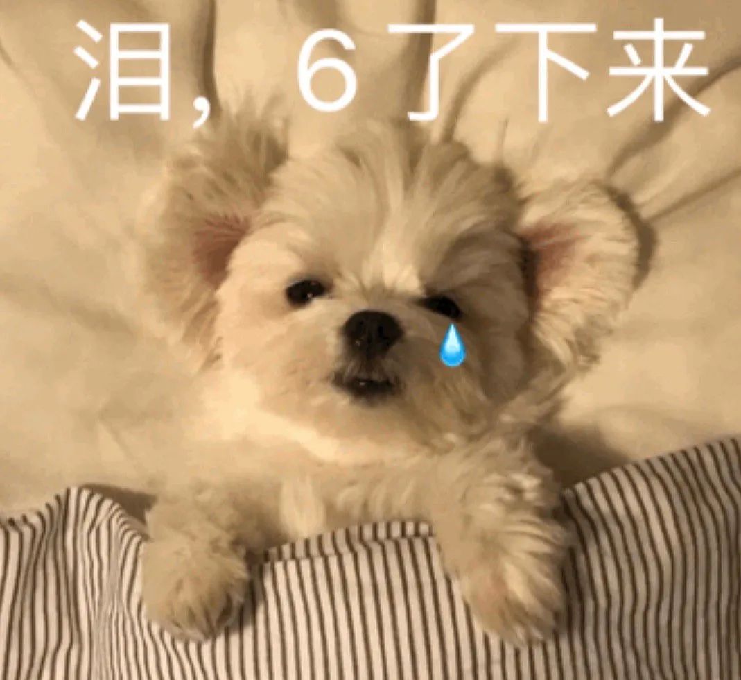 讀博士要面對的25個極度痛苦的問題…