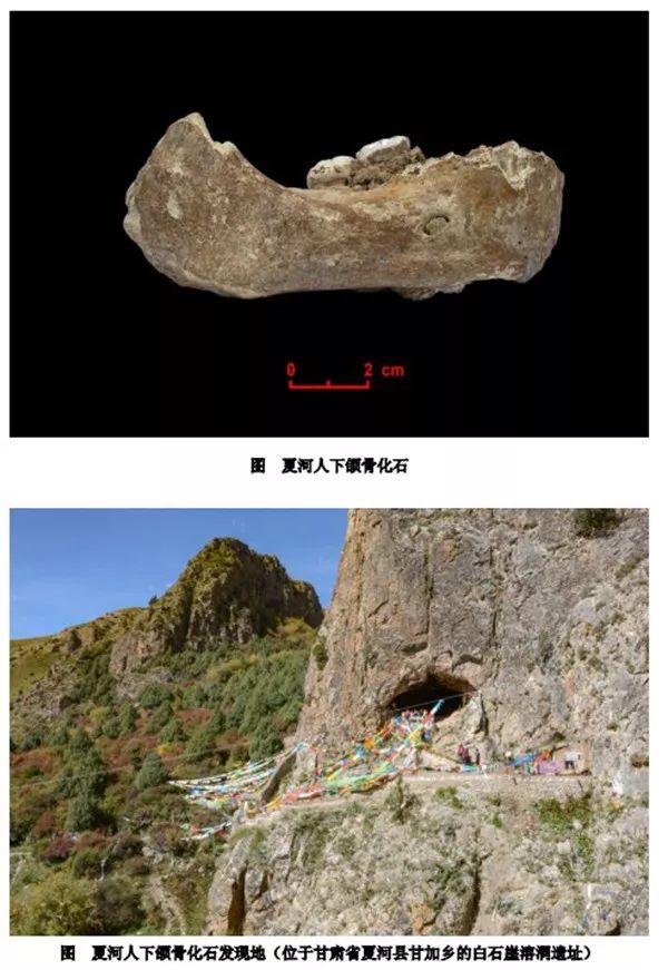 全是頂刊！2019年度中國高等學校十大科技進展