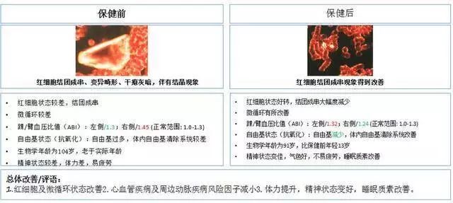 頂尖高校教授造假17年，整個領域推翻！有史以來最大的學術丑聞