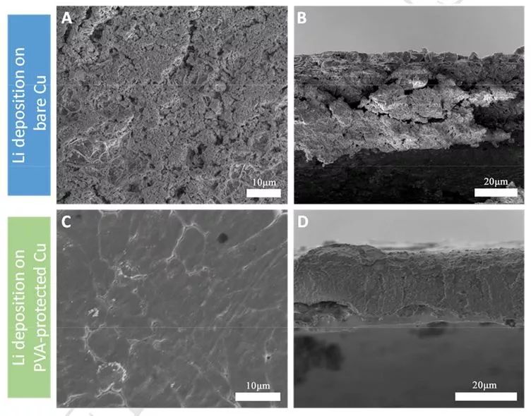 王東海教授課題組Nano Energy：聚乙烯醇界面保護(hù)，助力高穩(wěn)定性鋰金屬負(fù)極