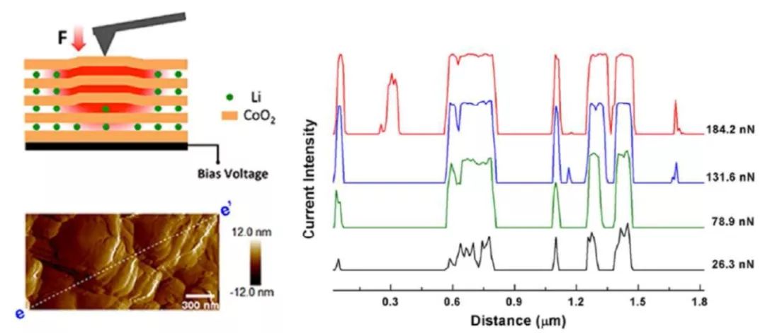 【案例解析】電池研究中的AFM表征：電化學反應中的形貌變化、納米力學和電學性能
