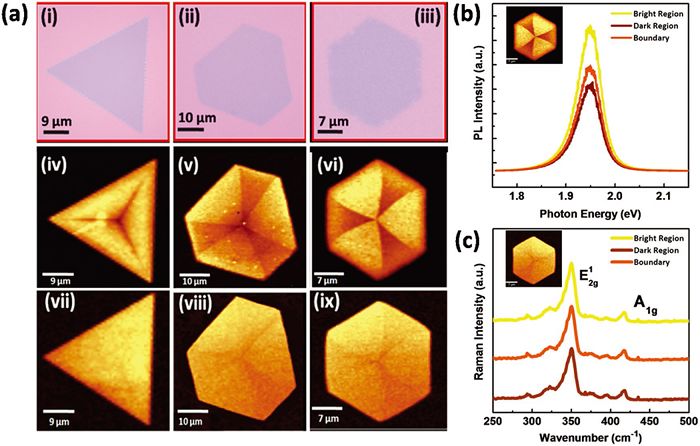 呂俊鵬＆倪振華AFM：影響二維過渡金屬硫化物生長的關(guān)鍵因素是什么？