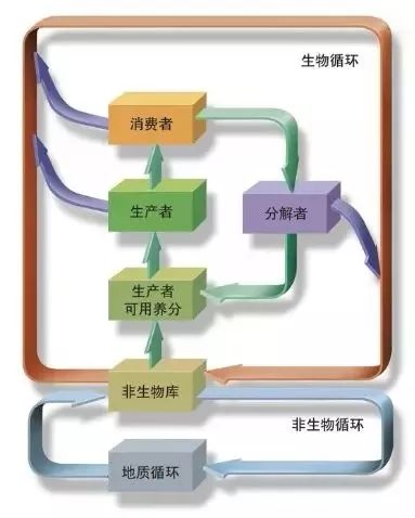 【制圖干貨】從細節入手，頂刊paper中的箭頭怎么畫？