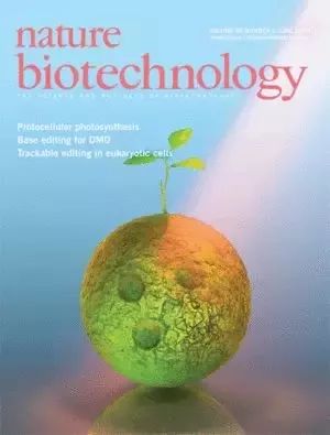 整天關注SCI，那你知道前20名的期刊長啥樣子嗎?