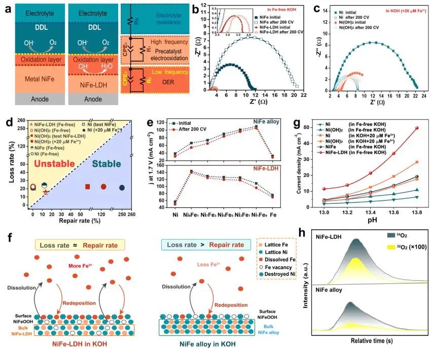 李念兵/羅紅群?ACS Catalysis：NiFe基電催化劑OER中Fe的動態(tài)交換自修復(fù)機(jī)理