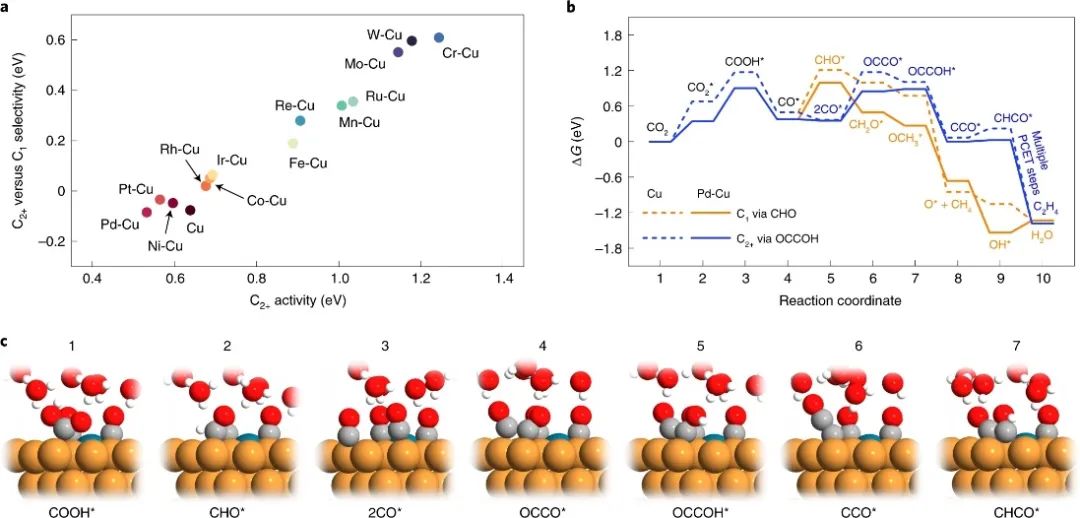 Edward H. Sargent院士和王瑩教授，最新Nature Catalysis！
