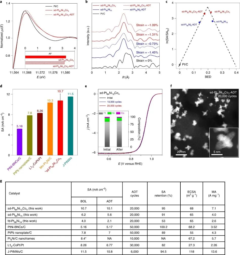 黃昱教授等人，最新Nature Catalysis！