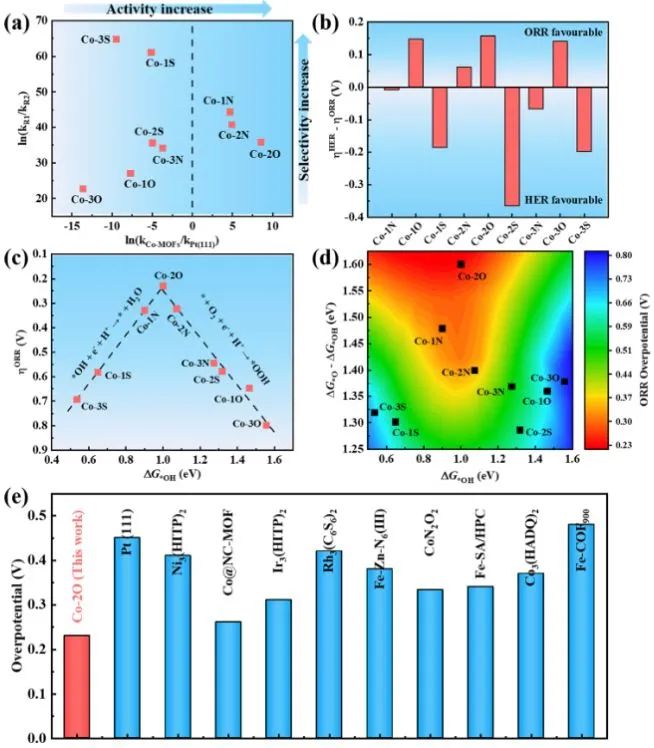 計算日報||頂刊集錦：Nature子刊/JACS/AFM/Angew/ACS Catal.等成果
