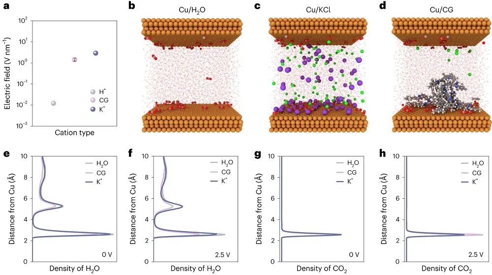 院士聯合出擊！多倫多大學/奧克蘭大學最新Nature Catalysis！