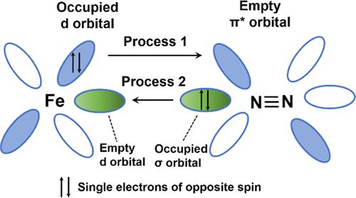 【計算+實驗】案例解讀：ACS Catalysis、EES、AM、Angew等8篇最新頂刊！