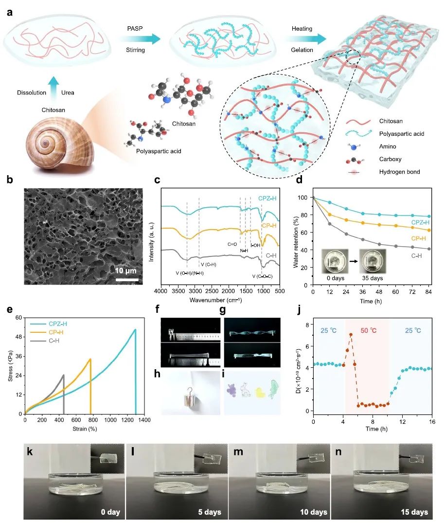 清華/港理工：最新Nature子刊！