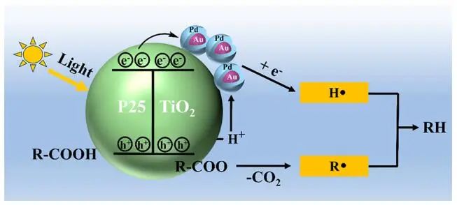 ACS Catalysis：選擇性近100%！Au-Pd/TiO2助力脂肪酸脫羧反應