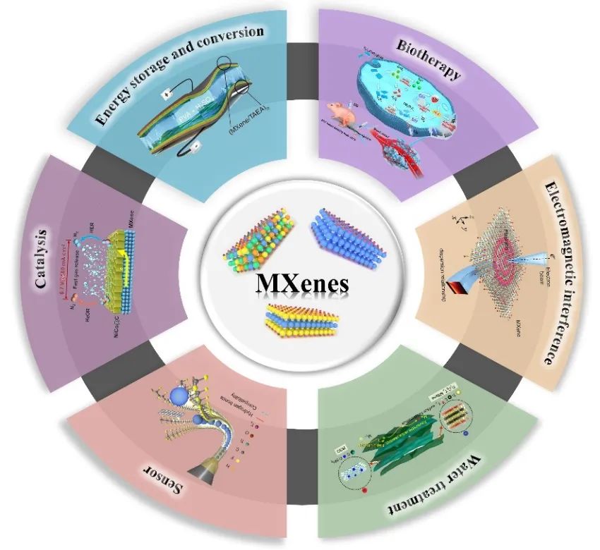 吉林大學，最新MXenes綜述：用于下一代技術的制備策略和構效關系的進展與展望