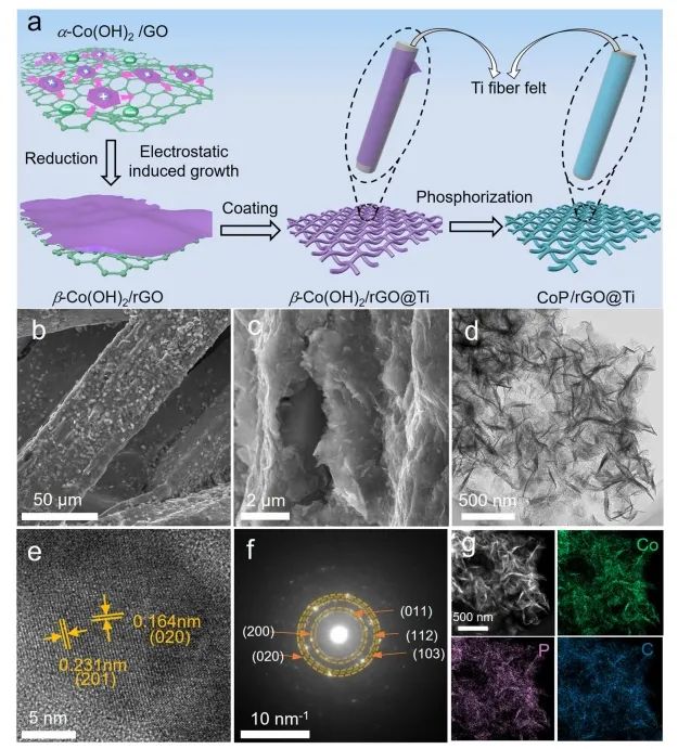催化日報(bào)||頂刊集錦：Nature子刊/JACS/Angew./EES/ACS Nano等成果